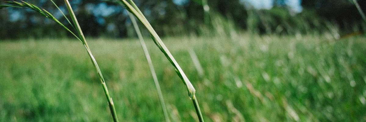 Sunil Rao cover photo