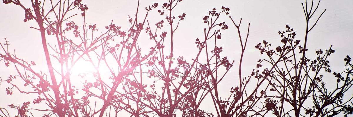 Kavita Pillai cover photo